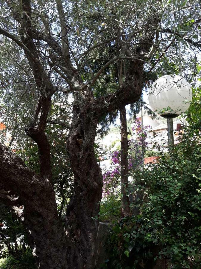 Apartamento Seahaven Petrovac Exterior foto
